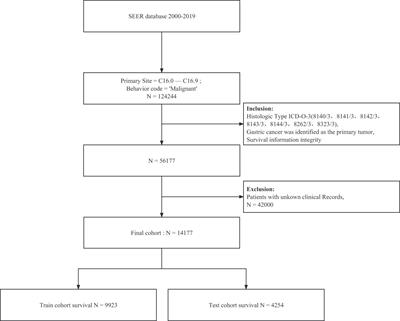 Development and validation of survival prediction model for gastric adenocarcinoma patients using deep learning: A SEER-based study
